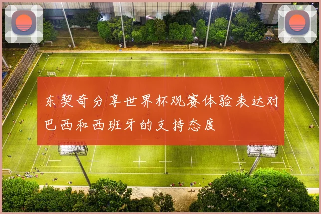 东契奇分享世界杯观赛体验表达对巴西和西班牙的支持态度