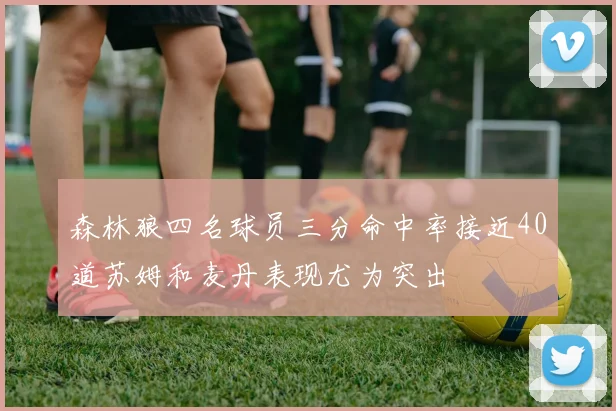 森林狼四名球员三分命中率接近40道苏姆和麦丹表现尤为突出