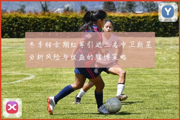 冬季转会期红军引进三名中卫新星分析风险与收益的赌博策略