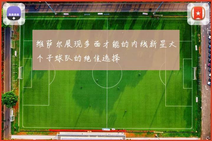 维萨尔展现多面才能的内线新星大个子球队的绝佳选择